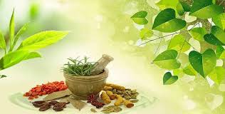 Balbhadr Ayurvedic Herbal India