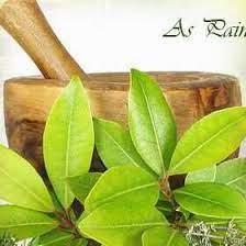 Pandit Ayurvedic Pvt Ltd Odisha