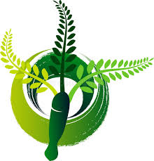 Imc Khushi Ayurvedic Herbal India
