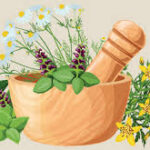 DAVDA Homeopathic Care | Consulting Homeopathy | Clinic Jamnagar, Gujarat