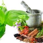 Kapil Ayurveda